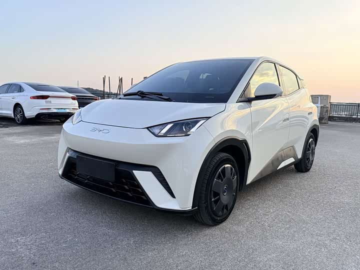 Seagull 2024 Honor Edition 305km Vitality Edition