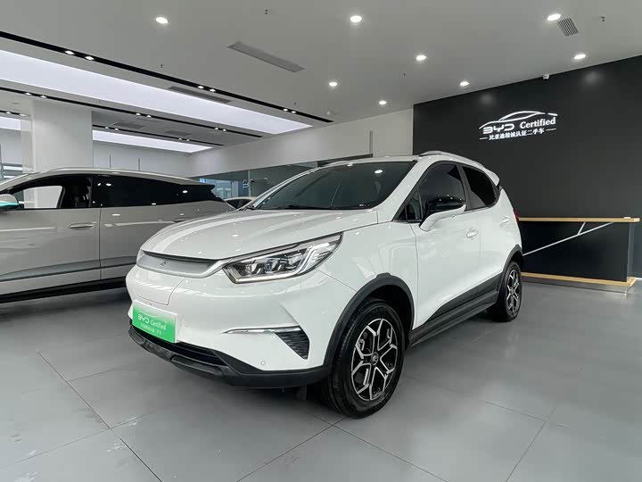 Yuan Pro 2021 model 401KM premium model