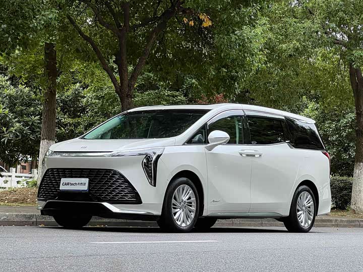 Century 2025 2.0T Six-seater Yuanshi Edition