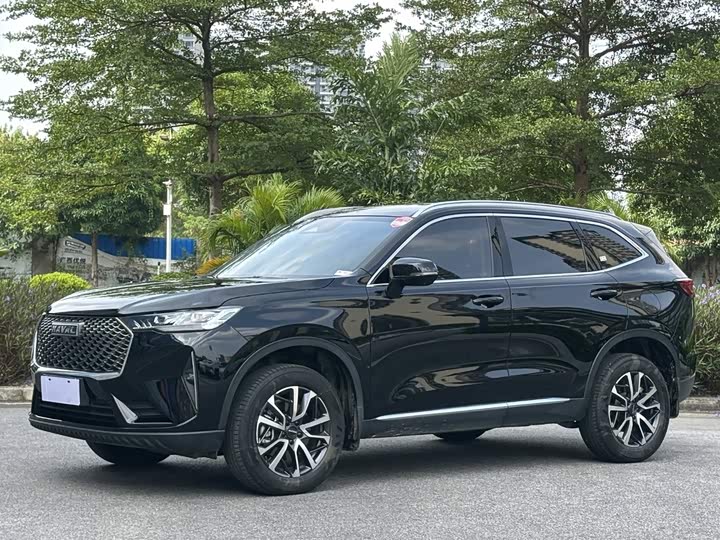 Haval H6 2024 1.5T FWD Pro