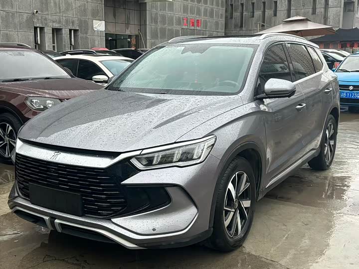 Song Pro New Energy 2024 Honor Edition DM-i 110KM Transcendence