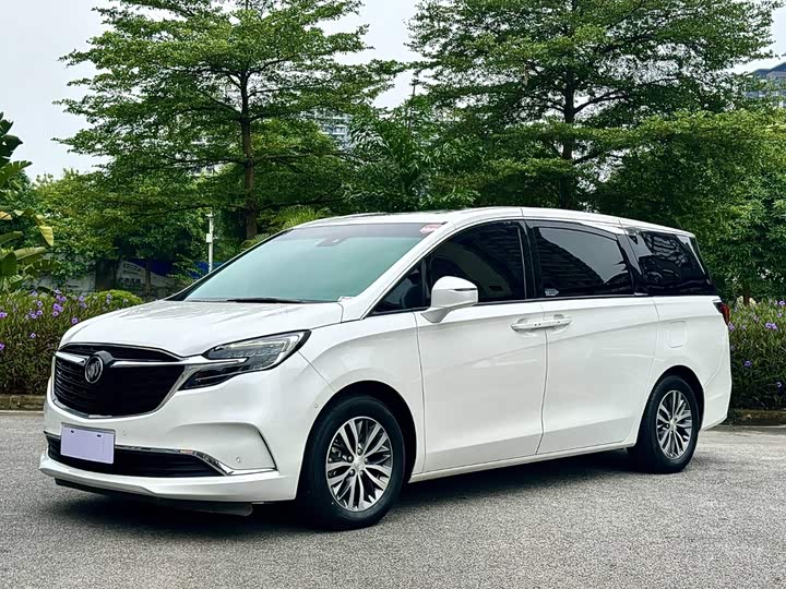 Buick GL8 2022 ES Lu Zun 653T Exclusive Type