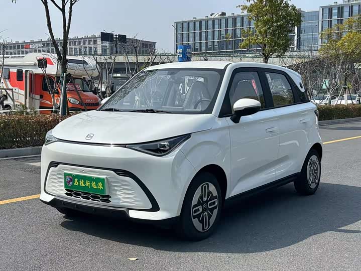 Duomi 2025 Model 305km Shuxiang Model