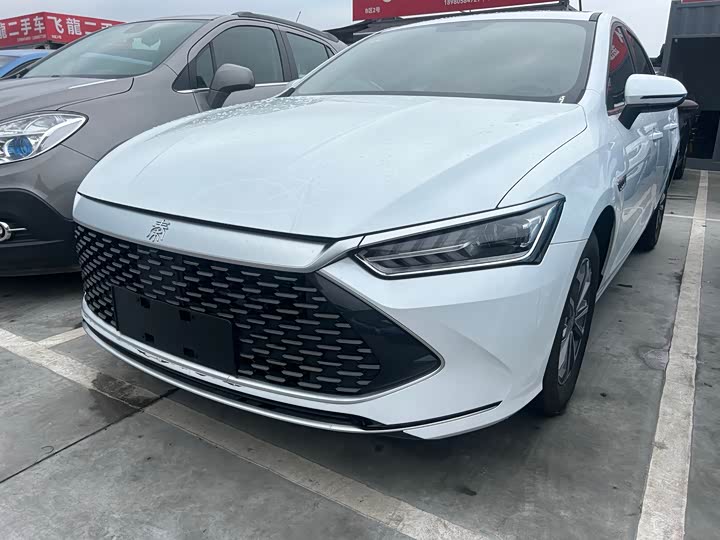 Qin PLUS 2024 Honor Edition DM-i 55KM Leading Type