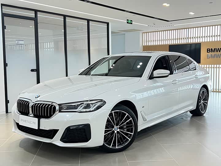 BMW 5 Series 2021 530Li Leading M Sports Package
