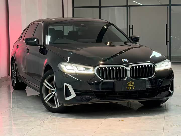 BMW 5 Series 2021 530Li Leading Luxury Package