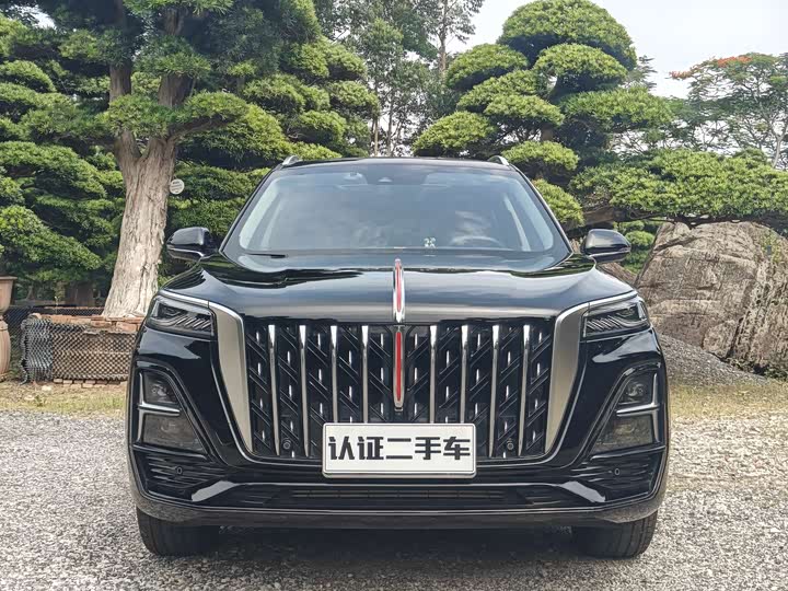 Hongqi HS5 2025 2.0T 2WD Qixiang Pro Edition