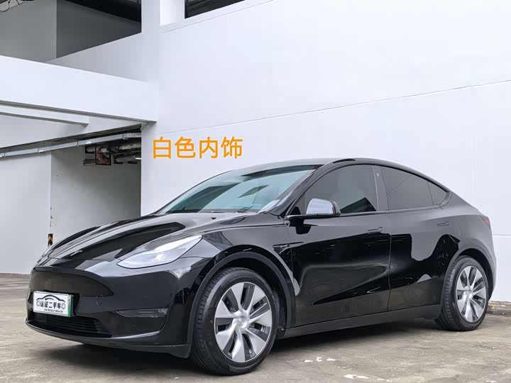 Model Y 2021 standard range rear-wheel drive version