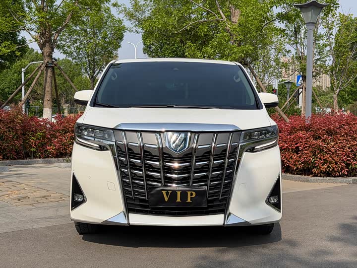 Alfa 2021 Shuangqing 2.5L Premium Edition