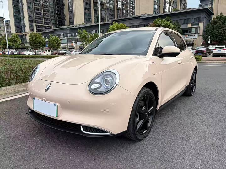 ORA Good Cat 2024 401km Luxury