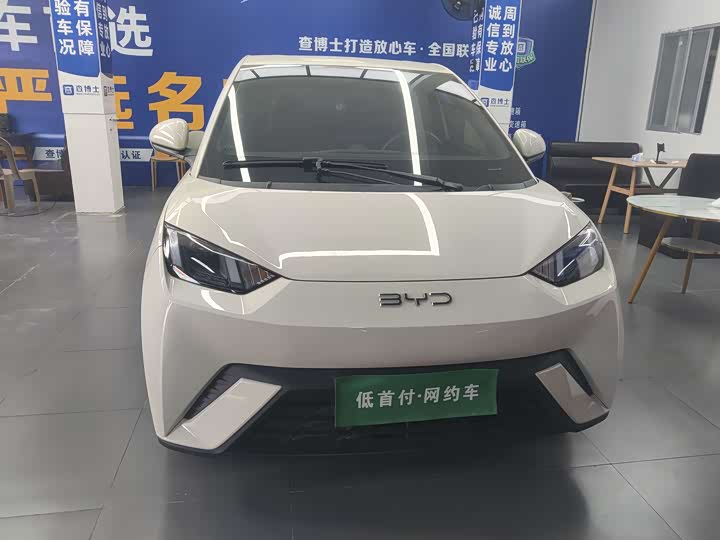 Seagull 2024 Model Honor Edition 405km Flying Edition