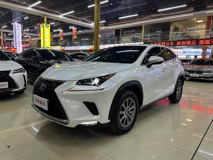 2020 Lexus NX 200 FWD Entry-Level Edition (China VI)