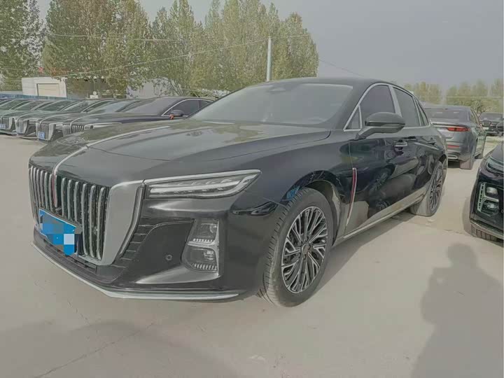 HongqiH5 2024 Model 2.0T Automatic Smart Link Edition