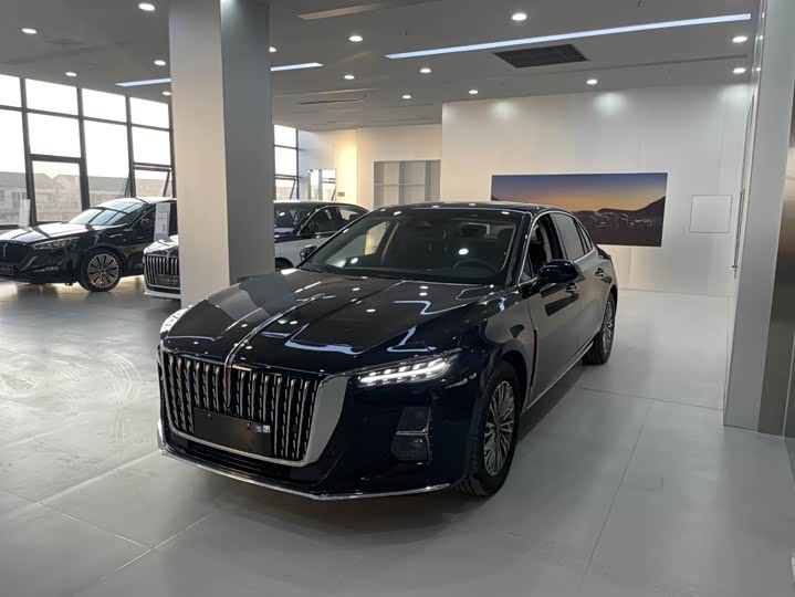 HongqiH5 2023 Model 2.0T Automatic Smart Link Edition