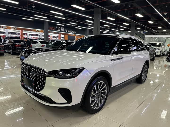Adventurer 2023 2.0T Two-wheel drive Premium Edition