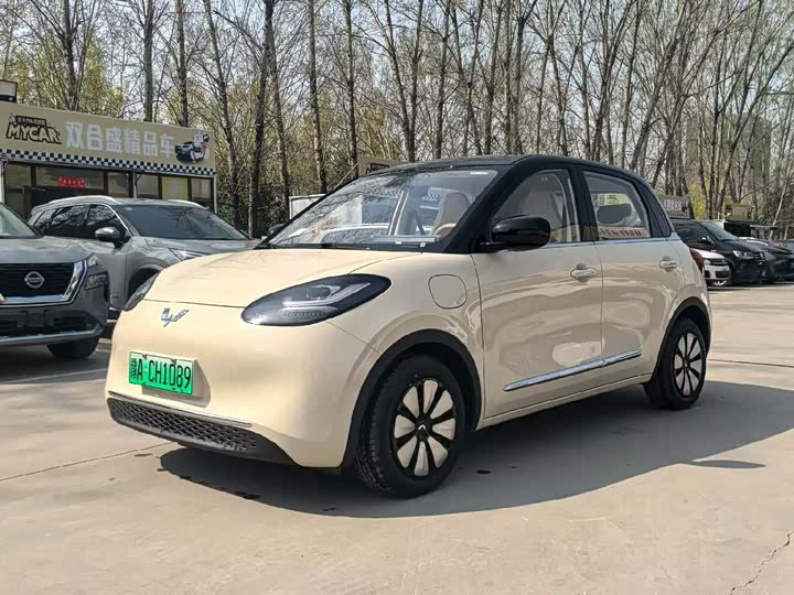 Wuling Bingo 2025 Model 333km Enjoy Model