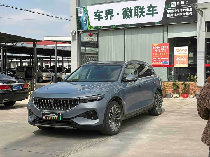 Lantu FREE 2021 four-wheel drive standard pure electric exclusive luxury package