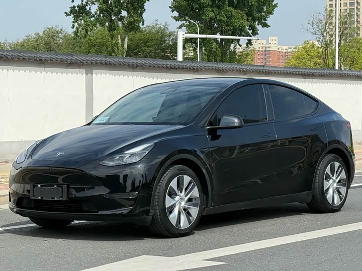 Model Y 2021 standard range rear-wheel drive version