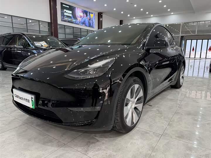Model Y 2021 standard range rear-wheel drive version