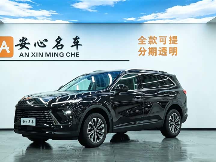 Envision Plus 2024 Envision Plus 28T two-wheel drive exclusive version
