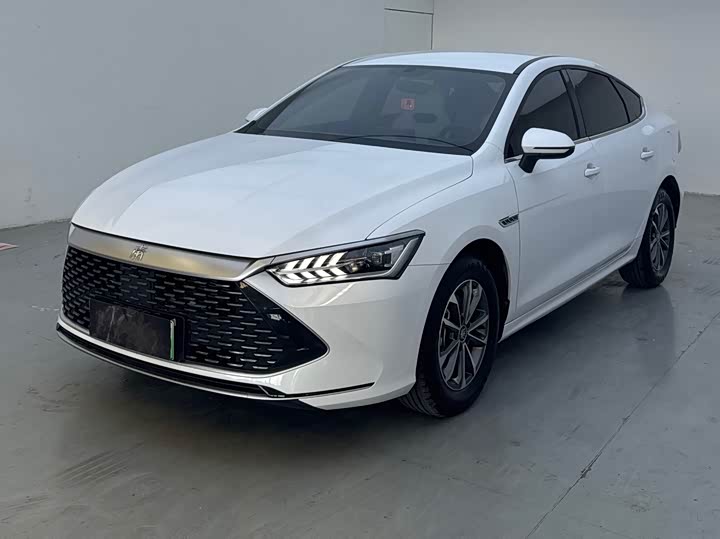 Qin PLUS 2024 Honor Edition DM-i 55KM Leading Type