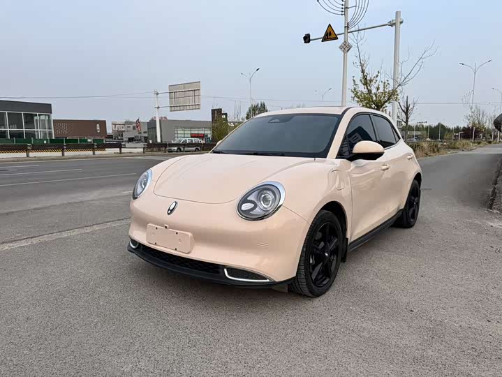 Euler Good Cat 2024 Model 401km LuxuryModel