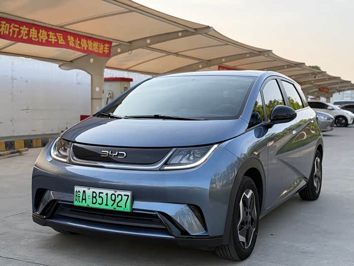 Dolphin 2025 420km Vitality Edition