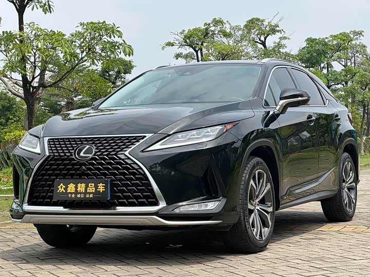 Lexus RX 2020 300 four-wheel drive elegant version National VI