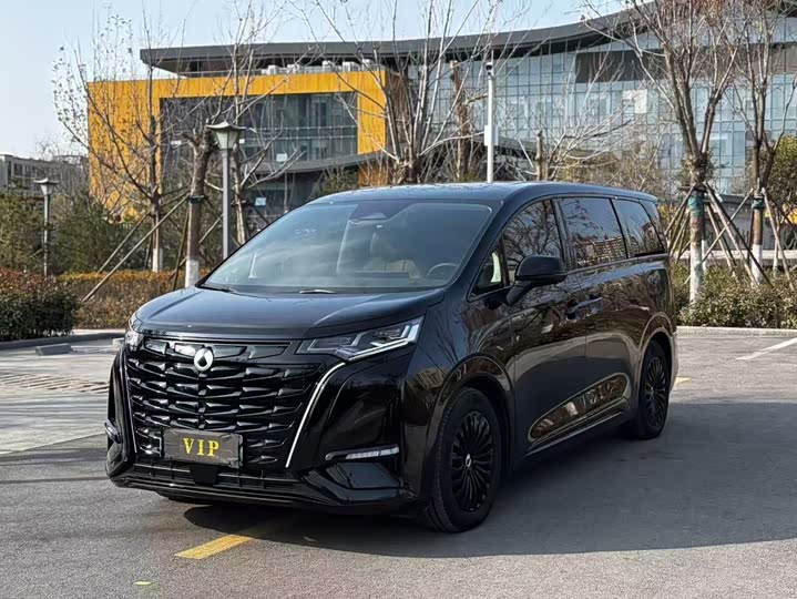Denza D9 2024 DM-i 980 four-wheel drive flagship model