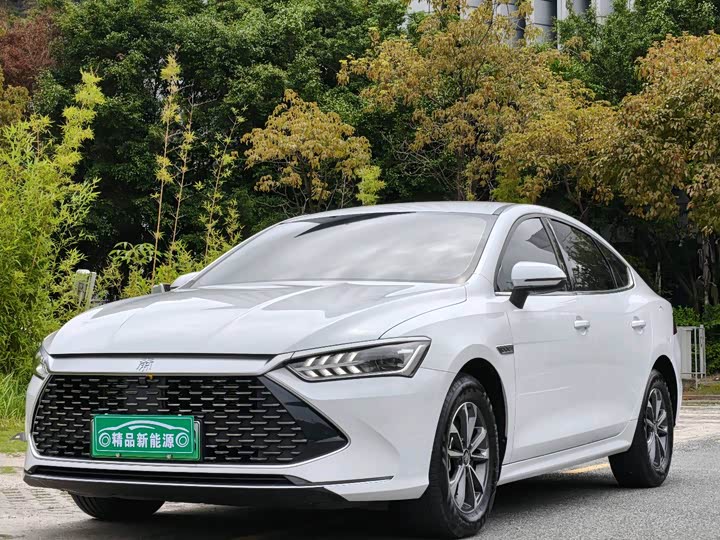 Qin PLUS 2024 Honor Edition DM-i 55KM Leading Type
