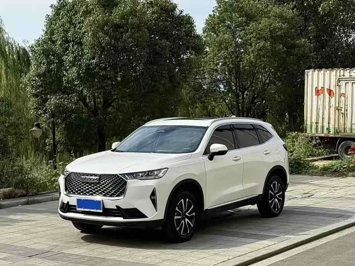Haval H6 2021 third generation 1.5T automatic two-wheel drive Max