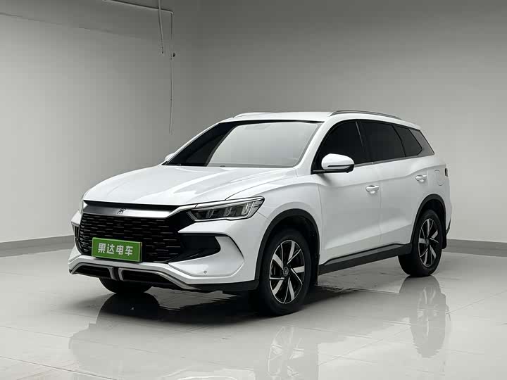 Song Pro New Energy 2024 Honor Edition DM-i 71KM Pilot Model