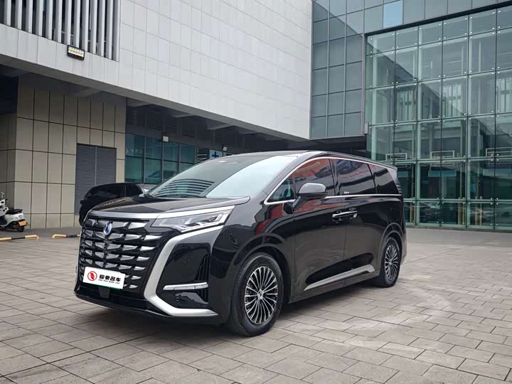 Denza D9 2024 DM-i 980 four-wheel drive premium model