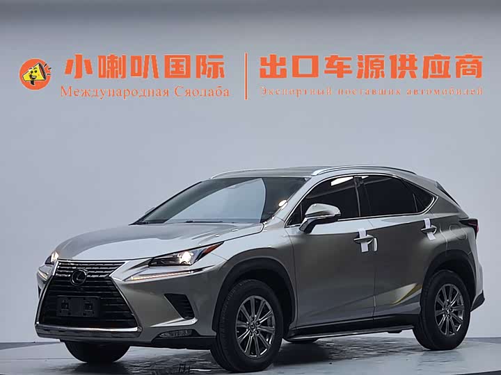 2020 Lexus NX 200 AWD Luxury Edition (China VI)
