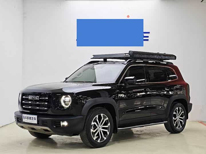 Havaldog 2021 1.5T DCT two-wheel drive horse dog version