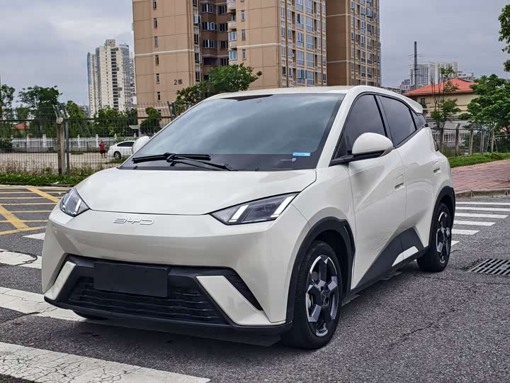 Seagull 2024 Honor Edition 305km Free Edition