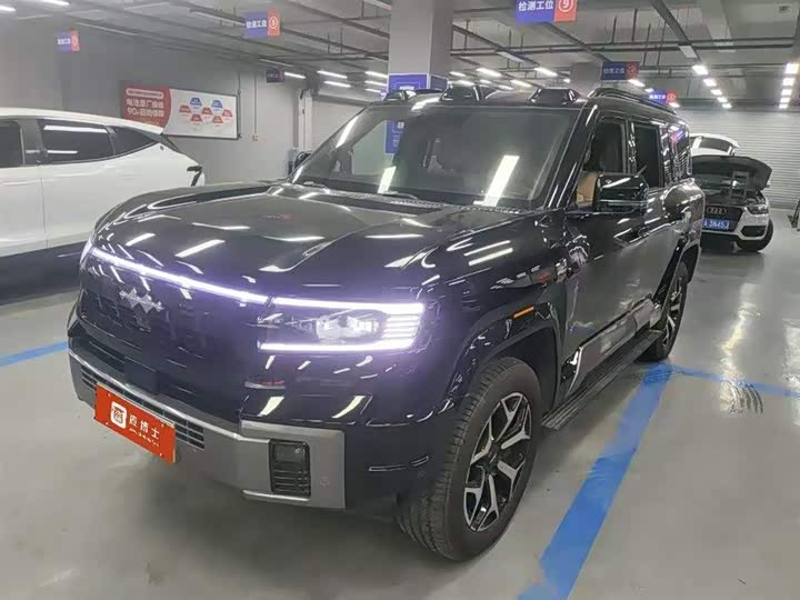 Leopard 8 2025 Zhiyong flagship version 7 seats
