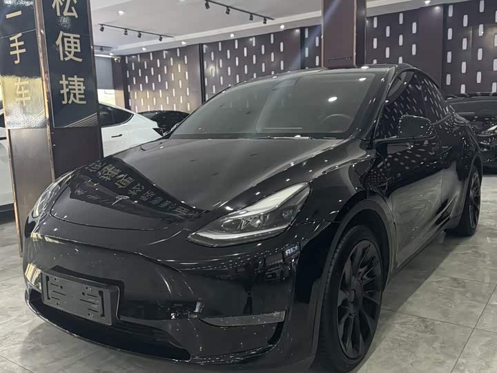 Model Y 2021 standard range rear-wheel drive version