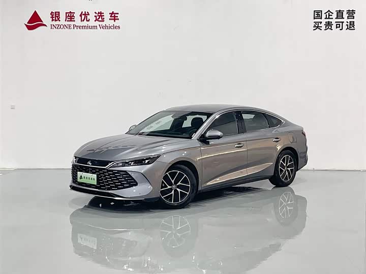 Qin L 2024 DM-i 80KM transcendent model