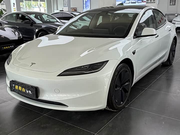 Model 3 2025 rear-wheel drive version