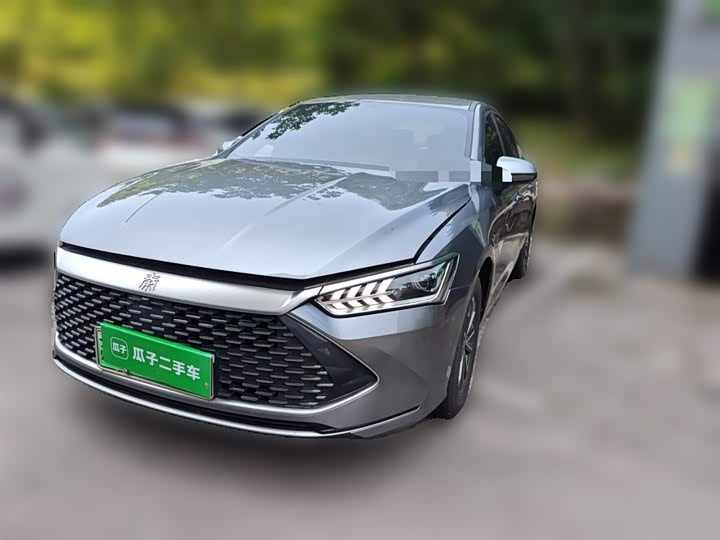 Qin PLUS 2024 Honor Edition DM-i 55KM Leading Type