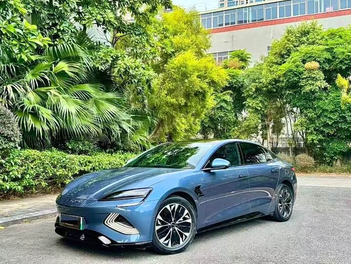 Seal 2023 Model Champion Edition 550km Elite Model