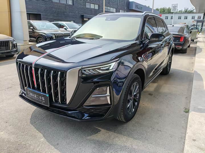 Hongqi HS5 2025 2.0T two-wheel drive Qixiang Pro version