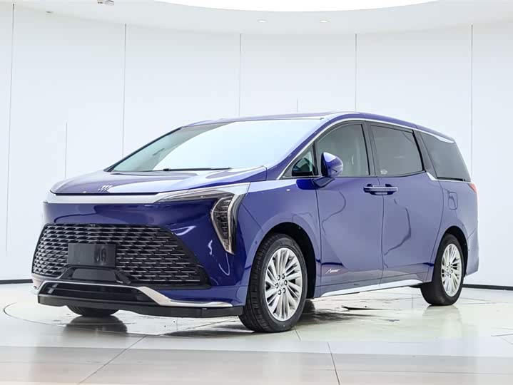 Century 2023 2.0T Six-Seater Yunshi Edition
