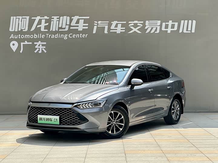 Qin PLUS 2024 Honor Edition DM-i 55KM Leading Type