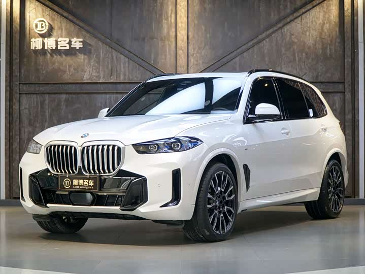 BMW X5 2023 xDrive40Li M Sport Night Package