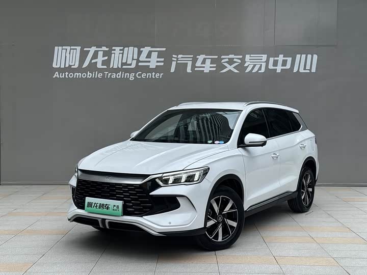 Song Pro New Energy 2023 Champion Edition DM-i 71KM Pilot Model