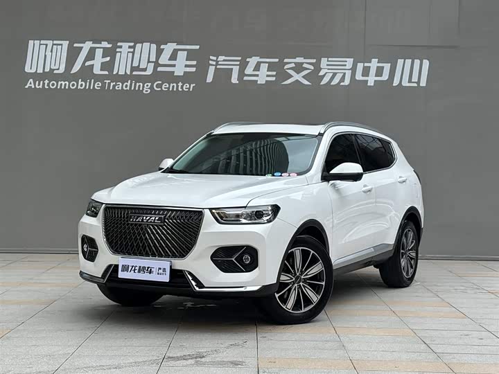 Haval H6 2021 1.5T Automatic Champion Edition