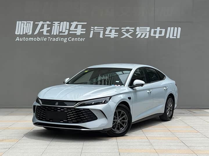Qin L 2025 DM-i smart driving version 80KM leading model