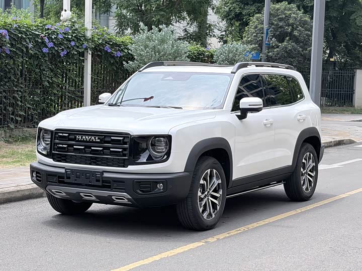 Haval Big Dog 2026 1.5T DCT Border Collie Edition